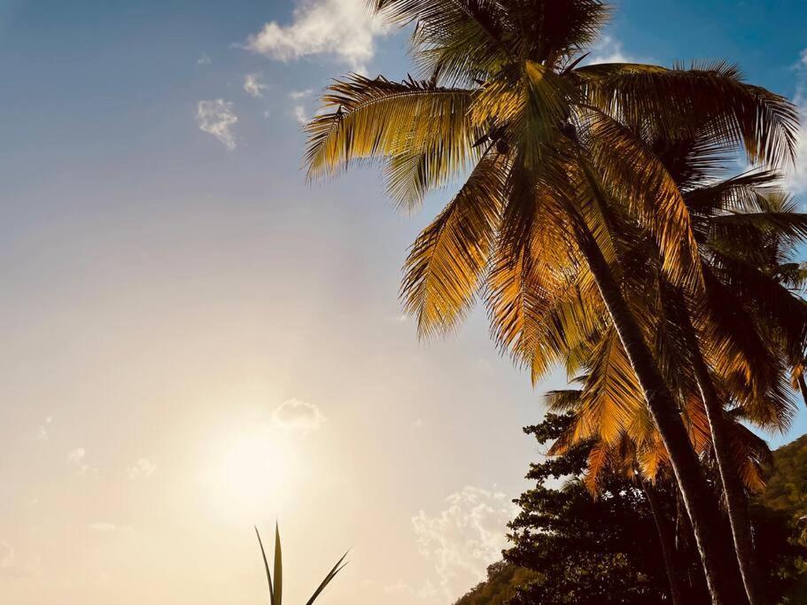 L'Amour A La Plage...Vue Mer Exceptionnelle ! Les Trois-Ilets Luaran gambar