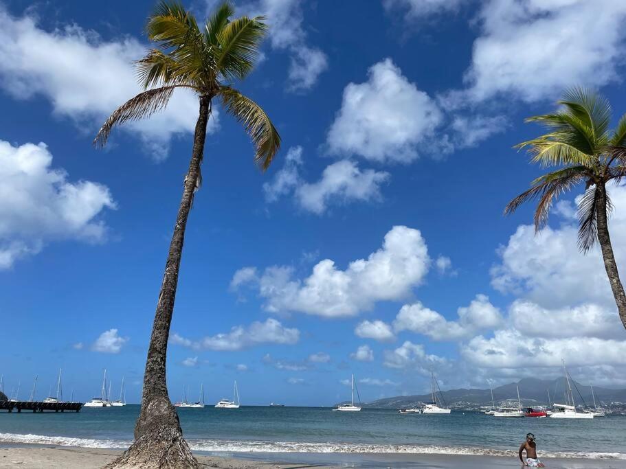 L'Amour A La Plage...Vue Mer Exceptionnelle ! Les Trois-Ilets Luaran gambar